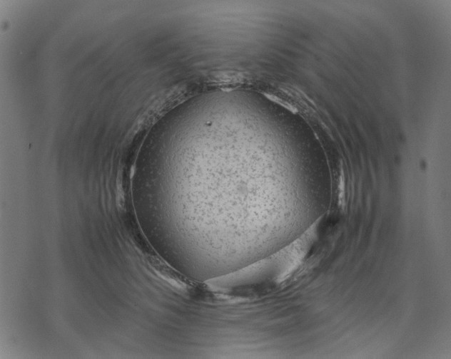 X0000070390516200606231741