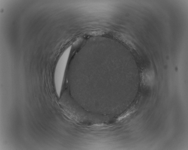 X0000070390517200606231741