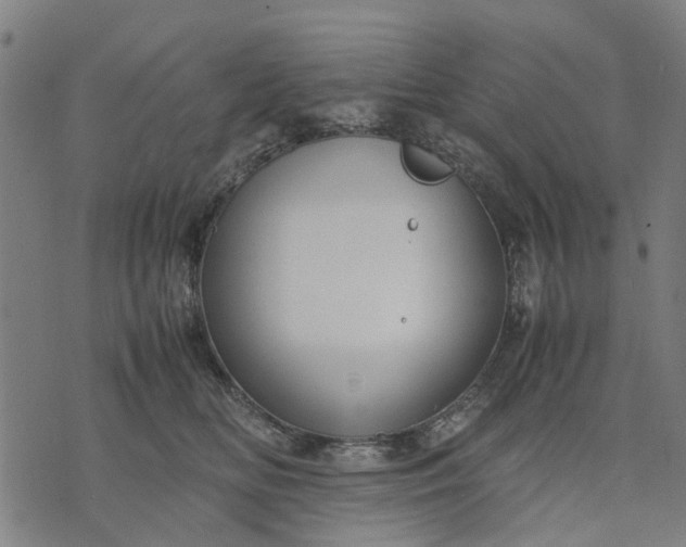 X0000070390518200606231741