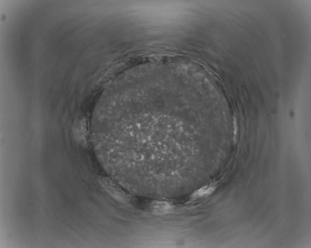 X0000070390519200606231741