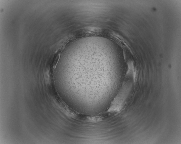 X0000070390520200606231741