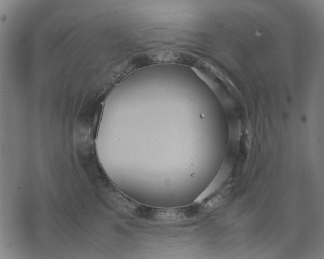 X0000070390521200606231740