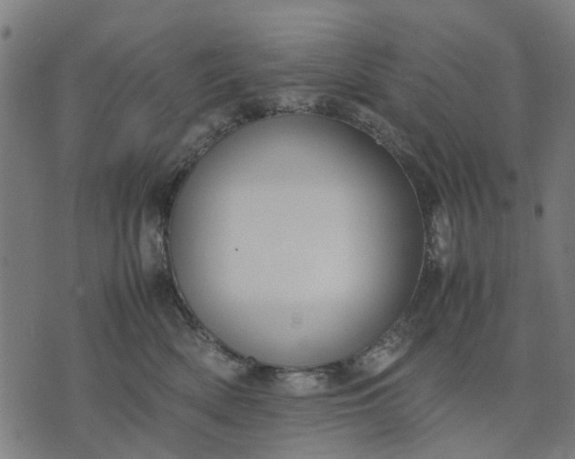 X0000070390522200606231740