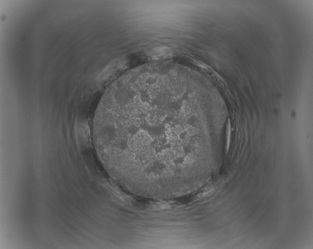 X0000070390523200606231740