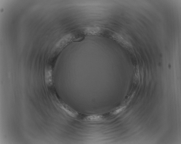 X0000070390526200606231740