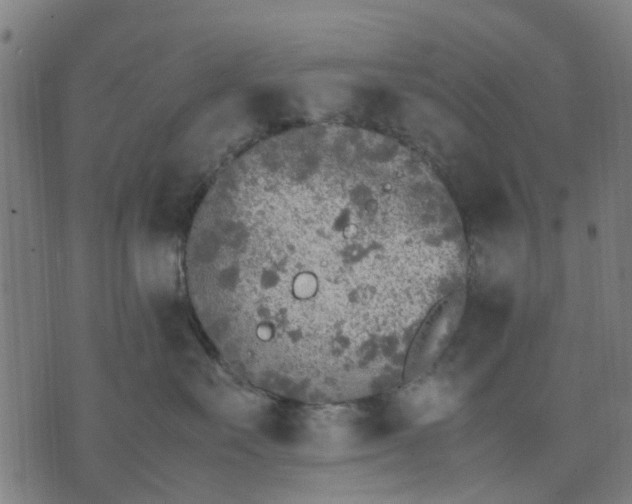 X0000070390527200606231740