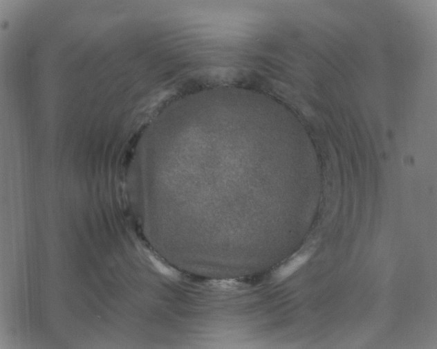 X0000070390528200606231740