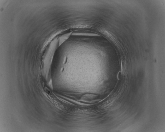 X0000070390531200606231740