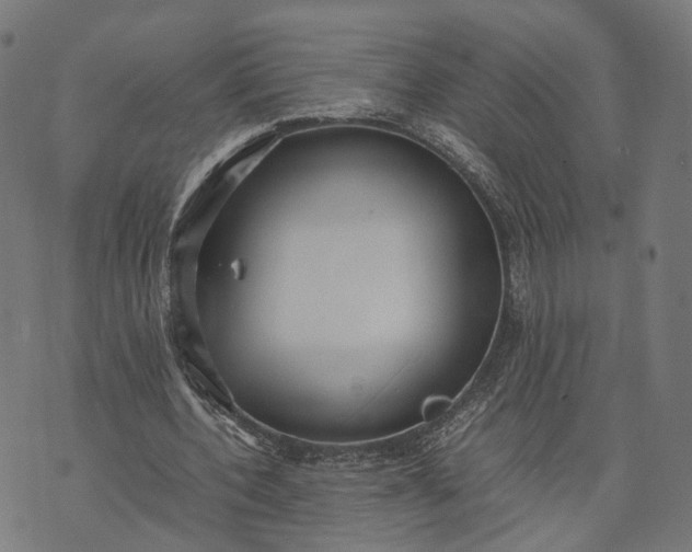 X0000070390532200606231740