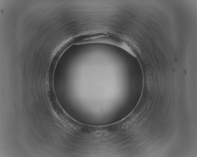 X0000070390536200606231740