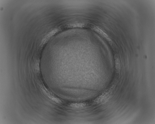 X0000070390537200606231740