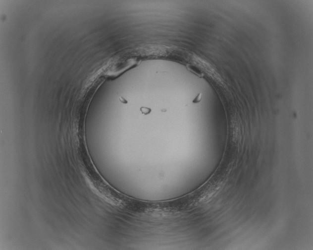 X0000070390538200606231740