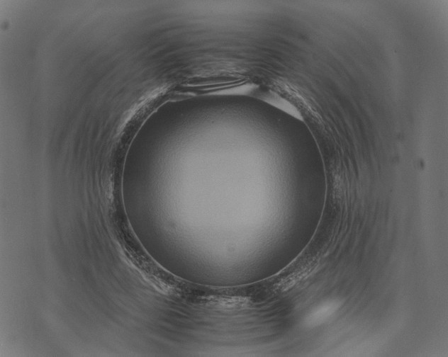 X0000070390539200606231740