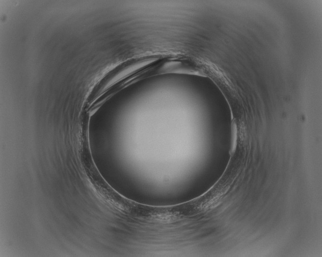 X0000070390540200606231740