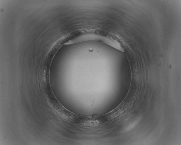 X0000070390543200606231740