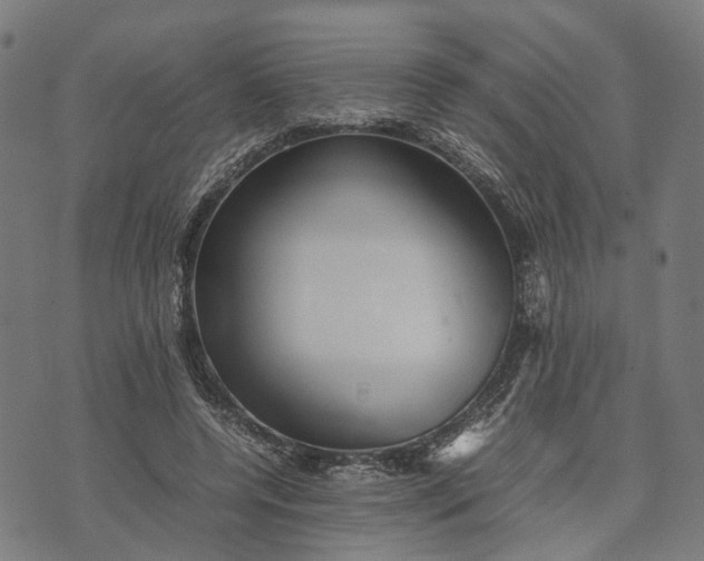 X0000070390544200606231740