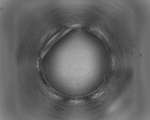 X0000070390545200606231740