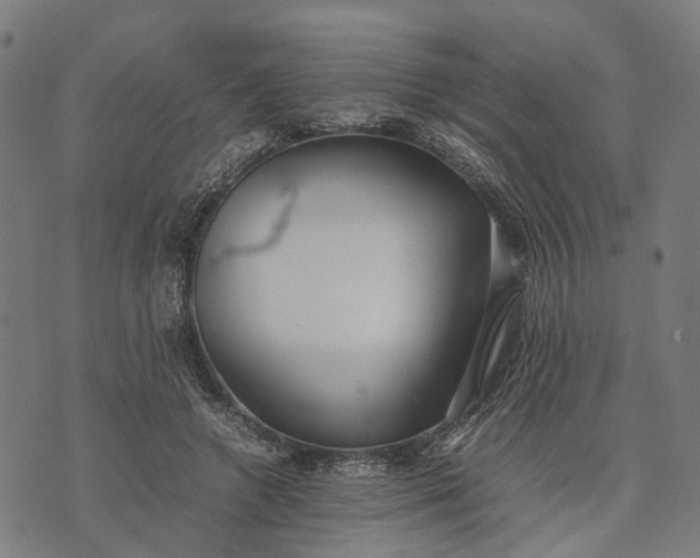 X0000070390546200606231740