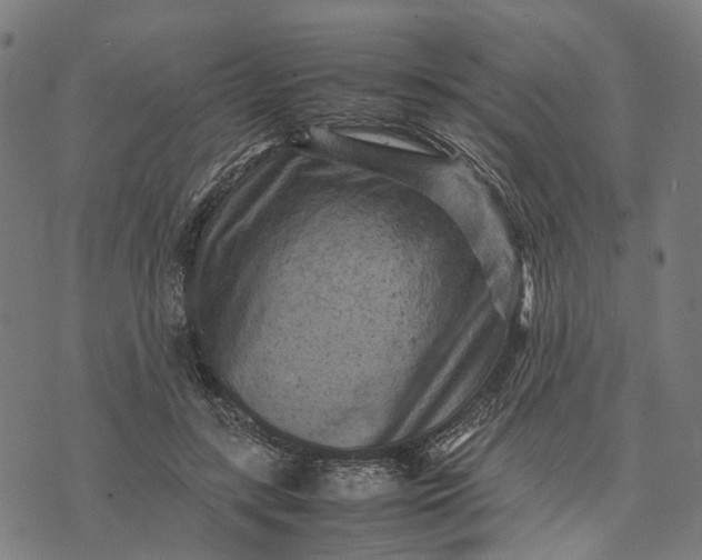 X0000070390547200606231740