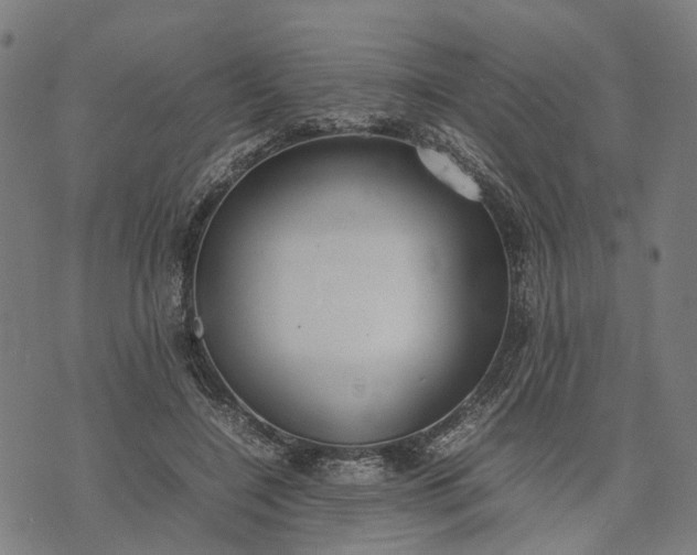 X0000070390548200606231740