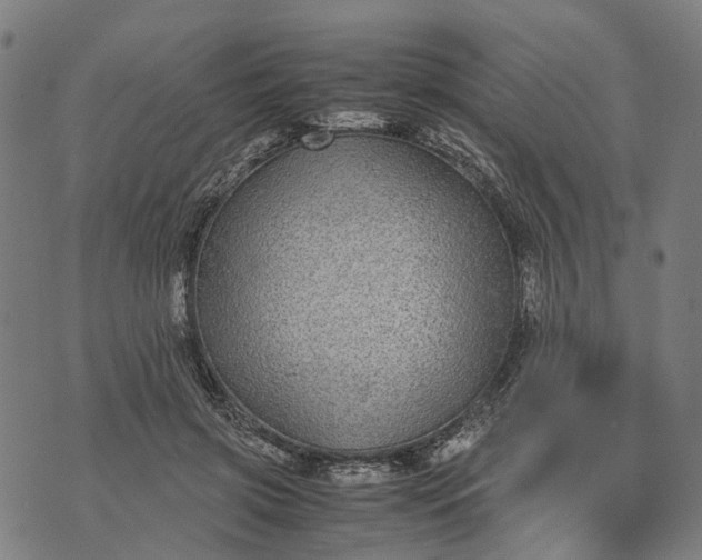 X0000070390549200606231740