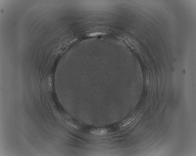 X0000070390551200606231740