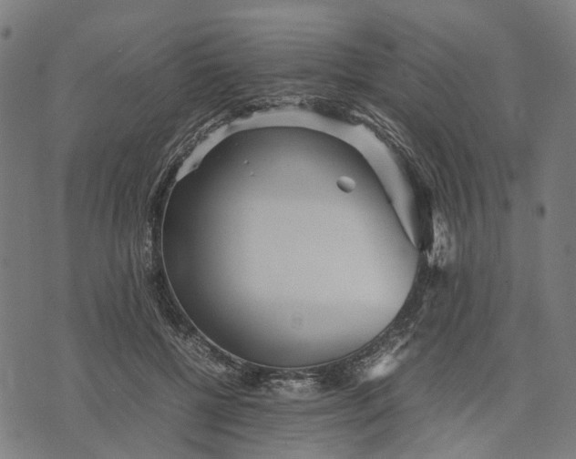 X0000070390552200606231740