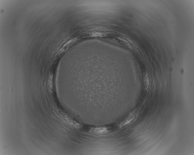 X0000070390554200606231740