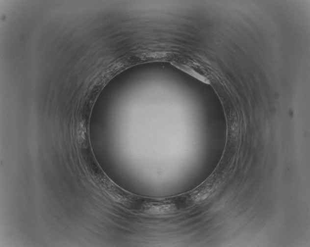 X0000070390555200606231740