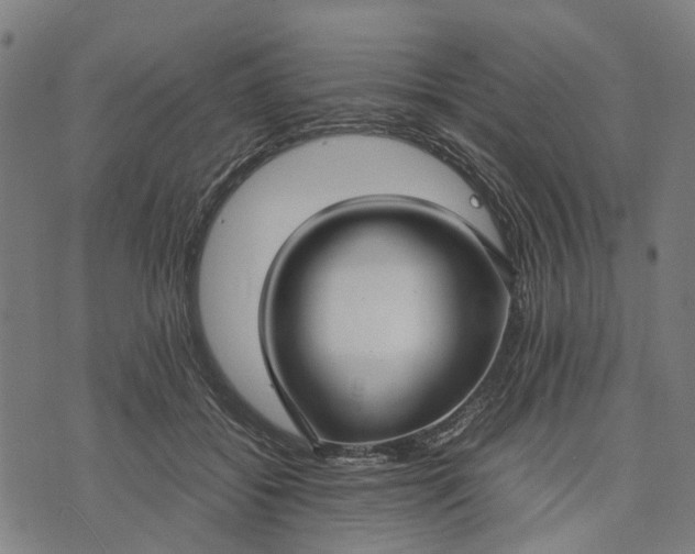 X0000070390556200606231740