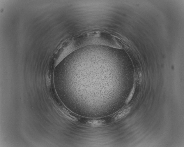 X0000070390558200606231740