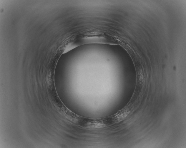 X0000070390559200606231740