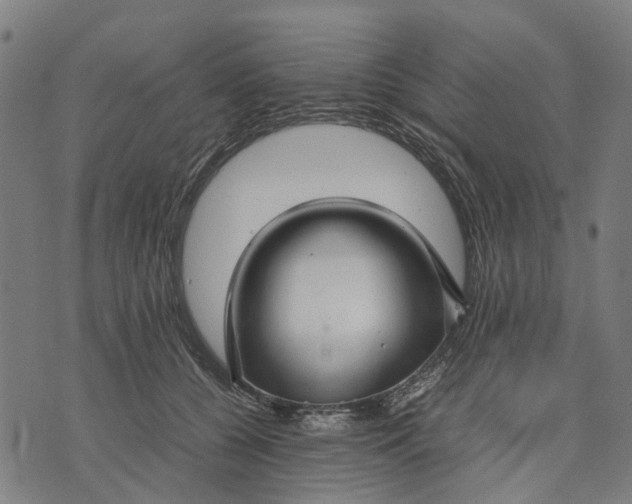 X0000070390560200606231740