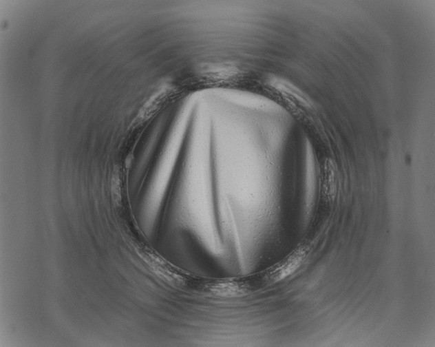 X0000070390562200606231740