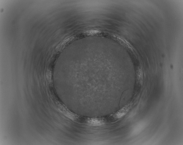 X0000070390565200606231740