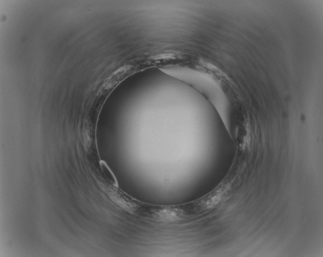 X0000070390566200606231740