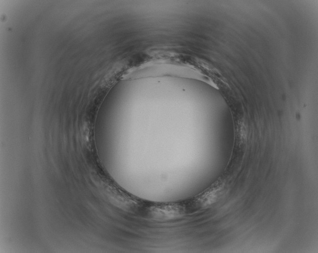 X0000070390567200606231740