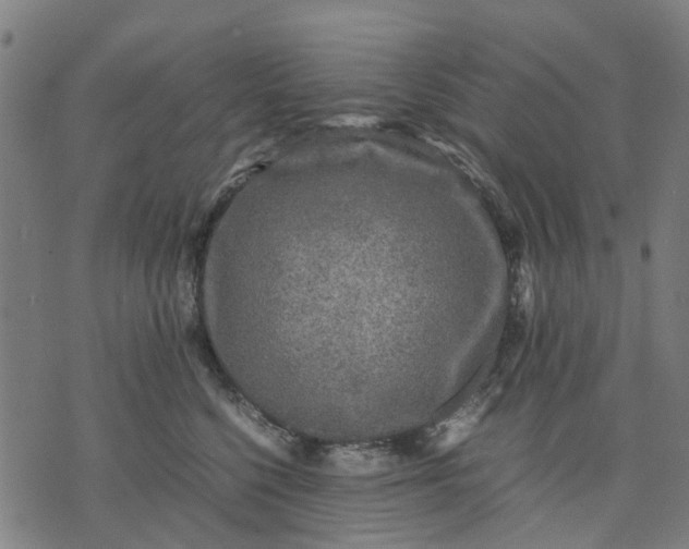 X0000070390568200606231740