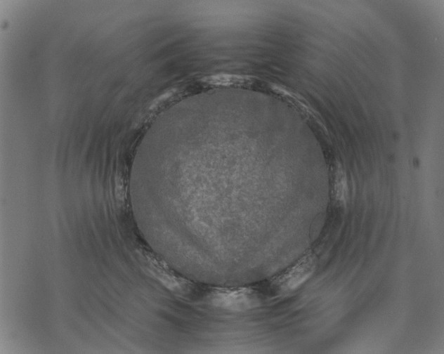 X0000070390569200606231740