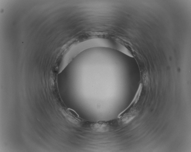 X0000070390570200606231740