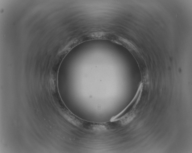 X0000070390572200606231740