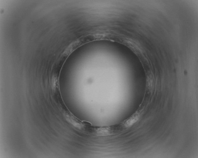 X0000070390574200606231740