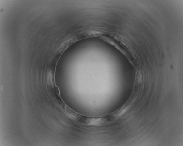 X0000070390575200606231740