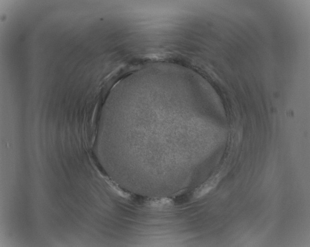 X0000070390576200606231740