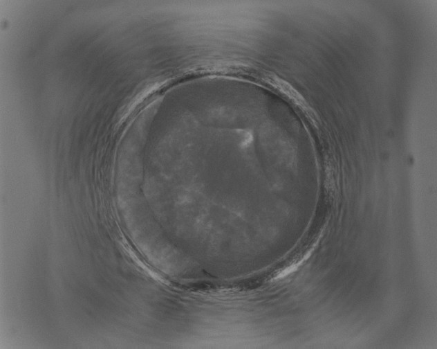 X0000070390577200606231740