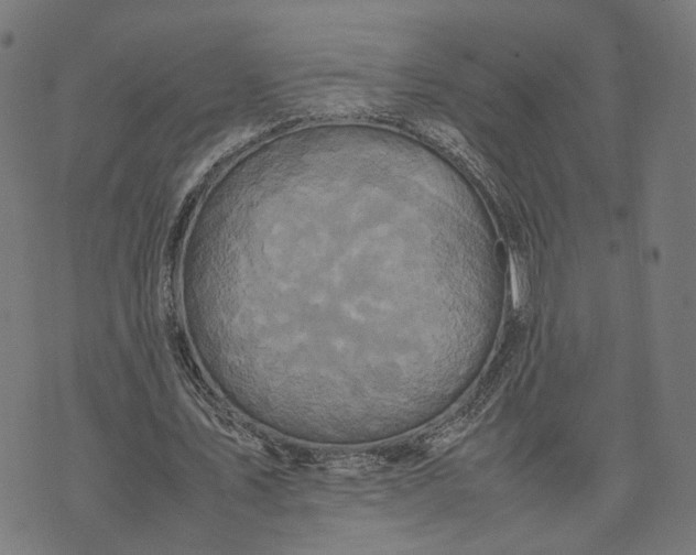 X0000070390579200606231740