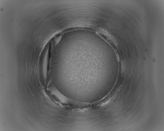 X0000070390580200606231740