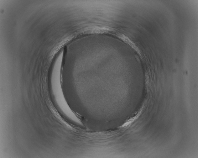 X0000070390581200606231740