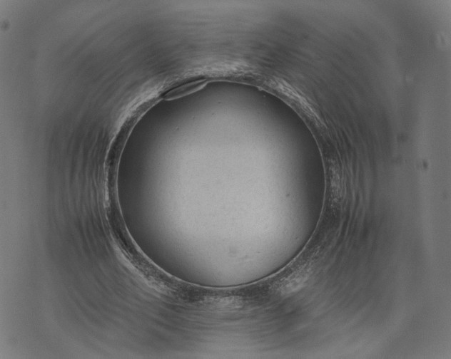 X0000070390582200606231739