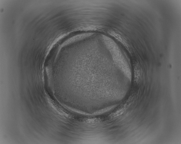 X0000070390584200606231739